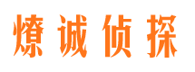 革吉市调查公司